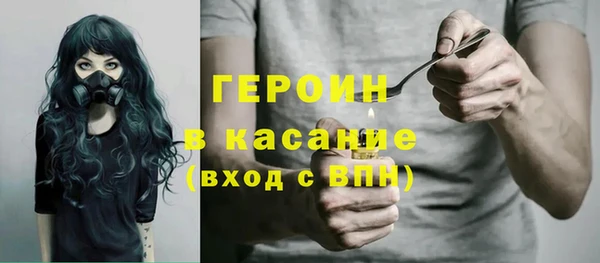 мдпв Гусев
