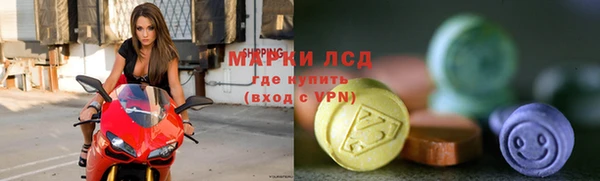 гидропоника Гусиноозёрск