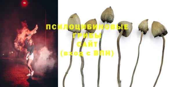 героин Михайлов