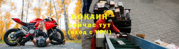 гашик Гусь-Хрустальный